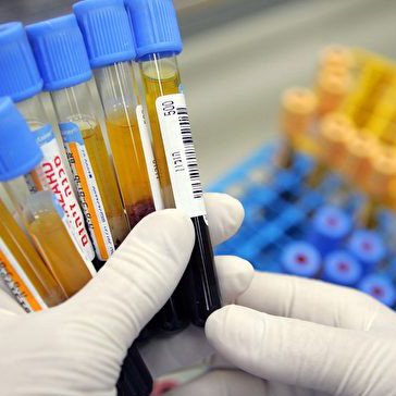 Laboratory Application
