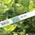 Z212 Near Edge Wax /Resin Ribbon
