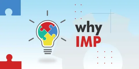 Why IMP?